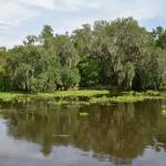 OTRA2014_1566 (September 03, 2014)